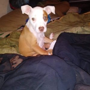 Meet your Posher, Wesley